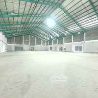 Kho Cho Thuê 1.350M2 Đầy Đủ Pháp Lý Pccc Tại Đường Quang Trung, Phường 8, Q. Gò Vấp.