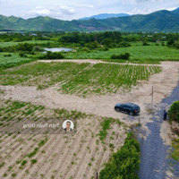 Bán Gấp Vài Lô Ninh Thượng Ninh Hoà Chỉ 189 Triệu