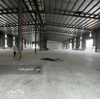 Cho Thuê Xưởng 10.000M2 . Kcn Đức Hòa Long An. T12 /2024 Bàn Giao