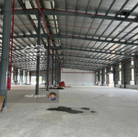 Cho Thuê Xưởng 10.000M2 . Kcn Đức Hòa Long An. T12 /2024 Bàn Giao