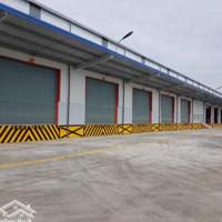 Kho Có Dock Container, Pccc Sprinkler, Sàn Epoxy, 2000M2-30.000M2 Kcn Vsip Hải Phòng, 80Nghìn/M2/Th