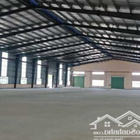 Cho Thuê Kho Xưởng Sản Xuất, Chứa Hàng, 1.000M2 Đến 2.500M2, 49 Ngh/M2/Th, Kcn Hòa Cầm, Q. Cẩm Lệ