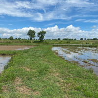 Cần Bán Nhanh 217M2 Trồng Cây Sổ Riêng Đường Ô Tô 4M Cách Nhựa Hàm Chính 70M Về Phan Thiết 10Km