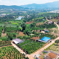 Bán Gấp Lô Dất Nghỉ Dưỡng Ven Đà Lạt View Hồ Có Rừng Thông Full Thổ Cư Đất Ở Đô Thị