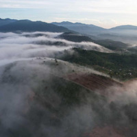 Bán Nhanh Lô Đất Sào Săn Mây 1000M2, View Cực Chill, Đường Bê Tông.