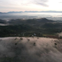 Bán Nhanh Lô Đất Sào Săn Mây 1000M2, View Cực Chill, Đường Bê Tông.