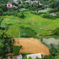 Bán 2134M Có 1000M Thổ Cư View Cánh Đồng Giá Hơn 1 Triệu/M Tại Lương Sơn, Hòa Bình