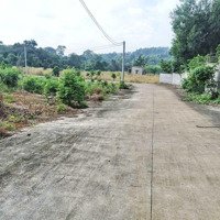 Đất 1000M2 Phủ Hồng, Ngang 15M Đường Bê Tông, Cách Quốc Lộ 1A Chỉ 1.5Km, Xã Đông Hoà