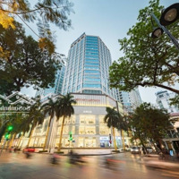 Đất Vàng Phố Cổ - Tay To Xây Building 11 Tầng - Nhỉnh 500 Triệu/M2 Mặt Phố Mai Hắc Đế - Full Sổ Đẹp