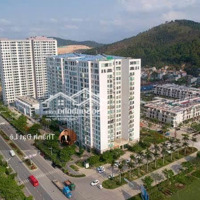 Do Chuyển Định Cư Không Sử Dụng Nên Cần Bán Căn Hộ 2 Phòng Ngủ70,5M2 Trung Tâm Bãi Cháy, Hạ Long.