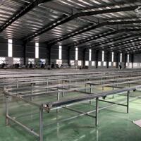 Cho thuê 5.000m2 Kho, Xưởng tiêu chuẩn tại KCN Visip ,Từ Sơn , Bắc Ninh