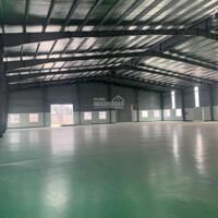 Cho thuê 5.000m2 Kho, Xưởng tiêu chuẩn tại KCN Visip ,Từ Sơn , Bắc Ninh