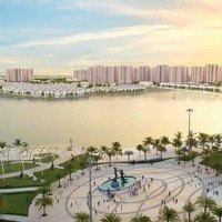 Chính Chủ Bán Nhanh Căn Song Lập Ngọc Trai Đảo Nhỏ Vinhomes Ocean Park View Vườn Hoa