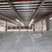 Cho Thuê Kho Đẹp 3000M2 Đường Nguyễn Văn Linh, Bình Điền. Pccc Tự Động, Đường Container Tự Do.