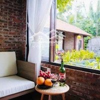 Hạ 1 Tỷ Cần Bán Nhanh Villa Hội An, Đường Cửa Đại, Diện Tích Lớn, Cách Phố Cổ 8 Phút Di Chuyển