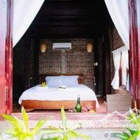 Hạ 1 Tỷ Cần Bán Nhanh Villa Hội An, Đường Cửa Đại, Diện Tích Lớn, Cách Phố Cổ 8 Phút Di Chuyển