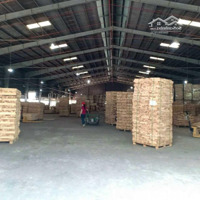 [Ms903] - Cho Thuê Kho Xưởng 40.000M2 Tại Tây Ninh - Cho Thuê Lẻ - Giá Rẻ 1,9Usd/M2