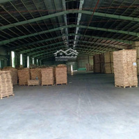 [Ms903] - Cho Thuê Kho Xưởng 40.000M2 Tại Tây Ninh - Cho Thuê Lẻ - Giá Rẻ 1,9Usd/M2