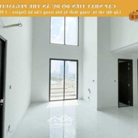 Cho Thuê Duplex 2 Phòng Ngủcc Pegasuite 2 Mới Nhận Nhà, 12 Triệuiệu Viewq1 - Liên Hệ: 0901422448 Xem Nhà