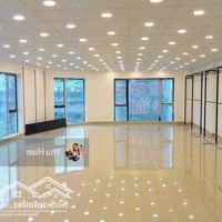 Cho Thuê Mặt Bằng Kinh Doanh Phố Cầu Giấy 310M2 Mặt Tiền 15M Vị Trí Nhận Diện Cực Tốt Đoạn Đẹp Nhất