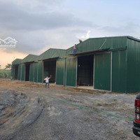 Cho Thuê Kho Vạn Phúc Thanh Trìdiện Tích500M2 Xe Công Đỗ Cửa Giá 50K/M2