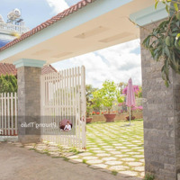 Cho Thuê Villa 5 Phòng Ngủsân Vườn Đậu 6 Oto, Mai Anh Đào, P8, Đà Lạt Giá Bán 30 Triệu | T90404T (Thảo 0984262722)