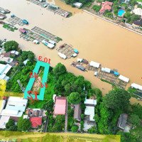 Chủ Gởi Bán Đất Biệt Thự Nhà Vườn Rộng 500M View Sông Cái Đồng Nai, Cù Lao Phố P.hiệp Hoà. Giá Bán 9 Tỷ