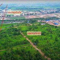 Đất Đấu Giá Nằm Sát Dự Án Vinhomes Cổ Loa