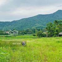 Đất Nghỉ Dưỡng Yên Bình 3 Mặt Thoáng, View Cực Hút Mắt,Diện Tích2500M2