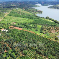 Chủ Ngộp Cần Bán Mảnh Đất View Hồ Quá Đẹp, Ngay Trung Tâm Tp Gia Nghĩa