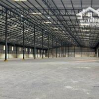 Cho Thuê 1.800m2 Kho Xưởng Bến Cát BD. D.Tích Đất 2.500m2 – Xưởng 1.800m2