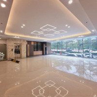 Cho Thuê Toà Nhà Mp Khúc Thừa Dụ - Làm Ngân Hàng - Showroom - Nha Khoa - Spa - Thẩm Mỹ Viện.