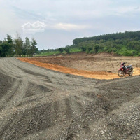 Cần Bán Đất Sào Giá Rẻ ,Sổ Sẵn, Sang Tên Ngay Trong Ngày. Đất Thuộc Tân Phước, Đồng Phú,Bình Phước.