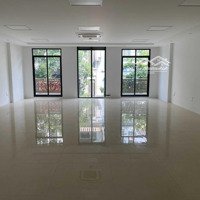 Cho Thuê Shophouse Mặt Phố Tôn Thất Thuyết, Cầu Giấy.diện Tích120M X 6 Nổi 1 Hầm,Mặt Tiền6M. Giá 80 Triệu