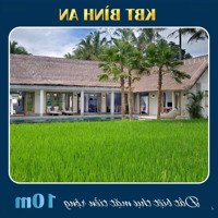 Đất Ngoại Ô Tp. Tam Kỳ Vuông Vứt 200Mv Còn 3 Lô Giá Hời!!!