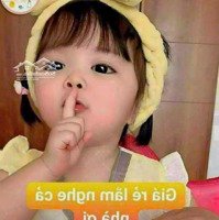 Cần Bán Nhà Lầu Hẻm Ô Tô Trần Hưng Đạo Gần Biển Tp Phan Thiết Giá Rẻ Đầu Tư