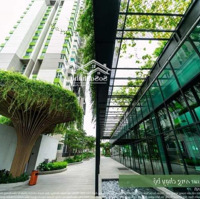 Căn Hộ 2 Phòng Ngủvista Verde Quận 2, Giá Bán Cực Kỳ Hấp Dẫn