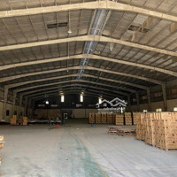 Cho Thuê Kho Xưởng Trần Đại Nghĩa Bình Chánh Tp.hcm 16.000M2