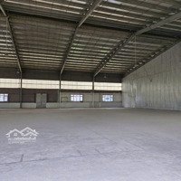 Cho Thuê Nhà Xưởng 8,800M2 Giá Cực Hời Trong Kcn Nhơn Trạch 2, Đồng Nai