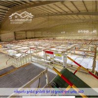 Cho Thuê Kho Xưởng Thuận An 25.500M2 Pccc Tự Động Giấy Tờ Đầy Đủ (Có Cho Thuê Lẻ)