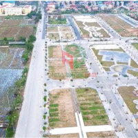 Bán 87,5M2 Đất Đấu Giá Thuỵ Lâm, Đông Anh, Hà Nội