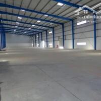 Cho thuê kho xưởng 30.000m2 huyện Gò Dầu, Tây Ninh. Cho thuê lẻ từ 5000m2