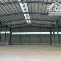 Cho Thuê Nhà Xưởng 6000M2 Giá Chỉ 300 Triệu/Th Trong Kcn Thuận An, Bình Dương