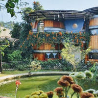 Cho Thuê Cơ Sở Kinh Doanh Homestay, Cafe