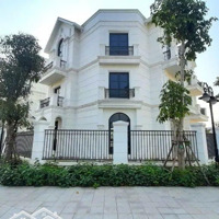 Cho Thuê Shophouse Vinhomes Ocean Park
- Khu San Hô- Vhop1