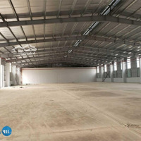 Cho Thuê Nhà Kho 1200M2 Tại Đường Lê Trọng Tấn - Giá Cực Tốt Chỉ 50K/M2