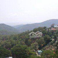 Hàng Hiếm. Bán Đất Trần Quang Diệu Phường 10 Đà Lạt View Thung Lũng Vĩnh Viễn Rất Đẹp