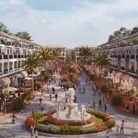 Ra Mắt Nhà Phố Kinh Doanh Quảng Trường Central Plaza Khu Đô Thị Eco Central Park