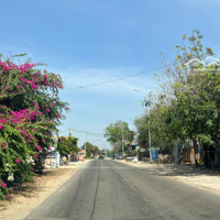 Cần Bán Lô Đất Bên Đồi View Biển - Giá Siêu Rẻ - Lạc Long Quân, Tiến Thành, Phan Thiết