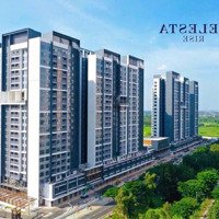 Giỏ Hàng 50 Căn Giá Tốt Nhất Celesta Rise Nhà Bè